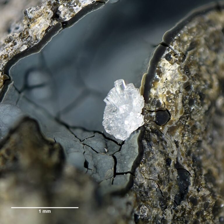 Erionite-K, Moeraki Point, New Zealand