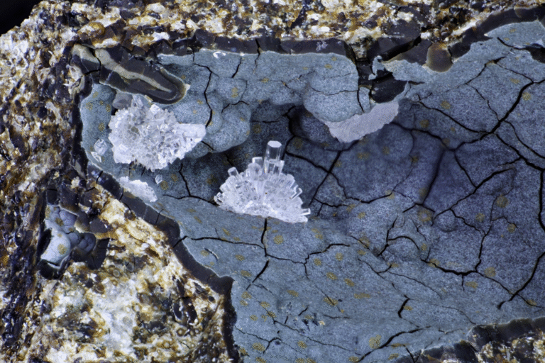 Erionite-K, Moeraki Point, New Zealand
